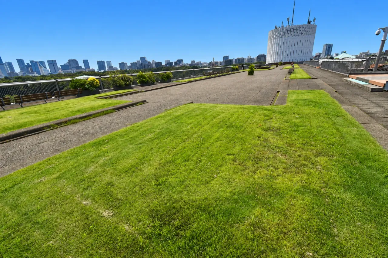 皇居の森を見晴らすパレスサイドビルの屋上庭園